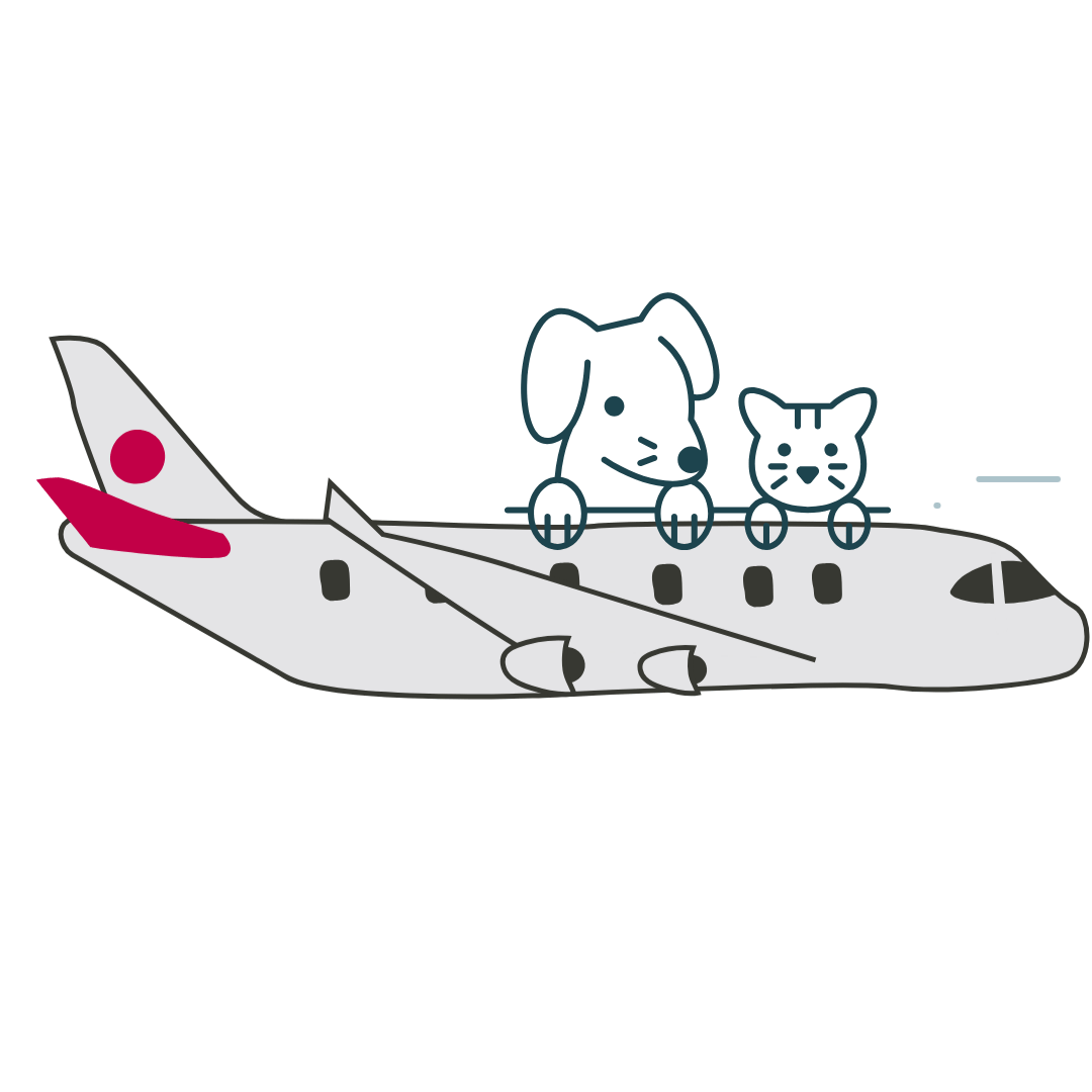 Pet Relocation by Air ( Pets in cargo ) - One cat and one dog are travelling in air india cargo plane. The pet travel by air service is provided by PetRelocation.IN