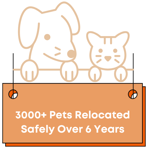 3000+ Pets Relocated safely Over 6 years now