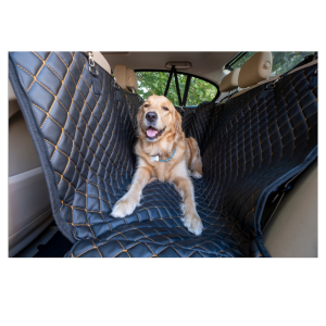 pets taxis tend to be more familiar to pets than trains and flights