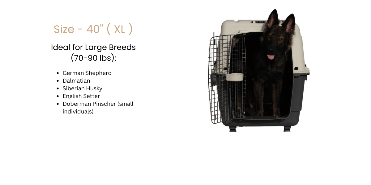 IATA CRATE - Size - 40"_ ( XL ) | Airline approved pet carrier