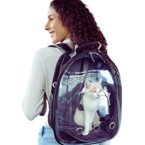 1. Backpack for Cats and Small Dogs