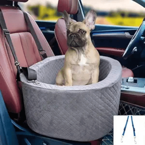 Booster seats for Puppies_ Small dogs in pet taxi road travel | Pet Carrier Guide