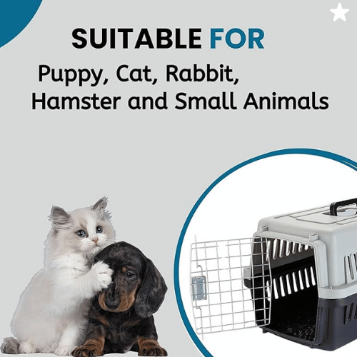 Hard Body Carrier For Cat and Puppies