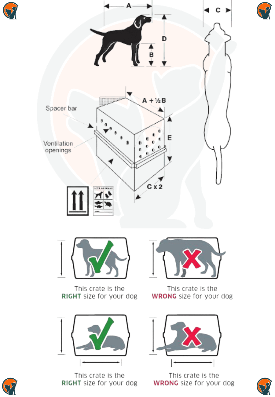 Pet Measurement guide for IATA Crate