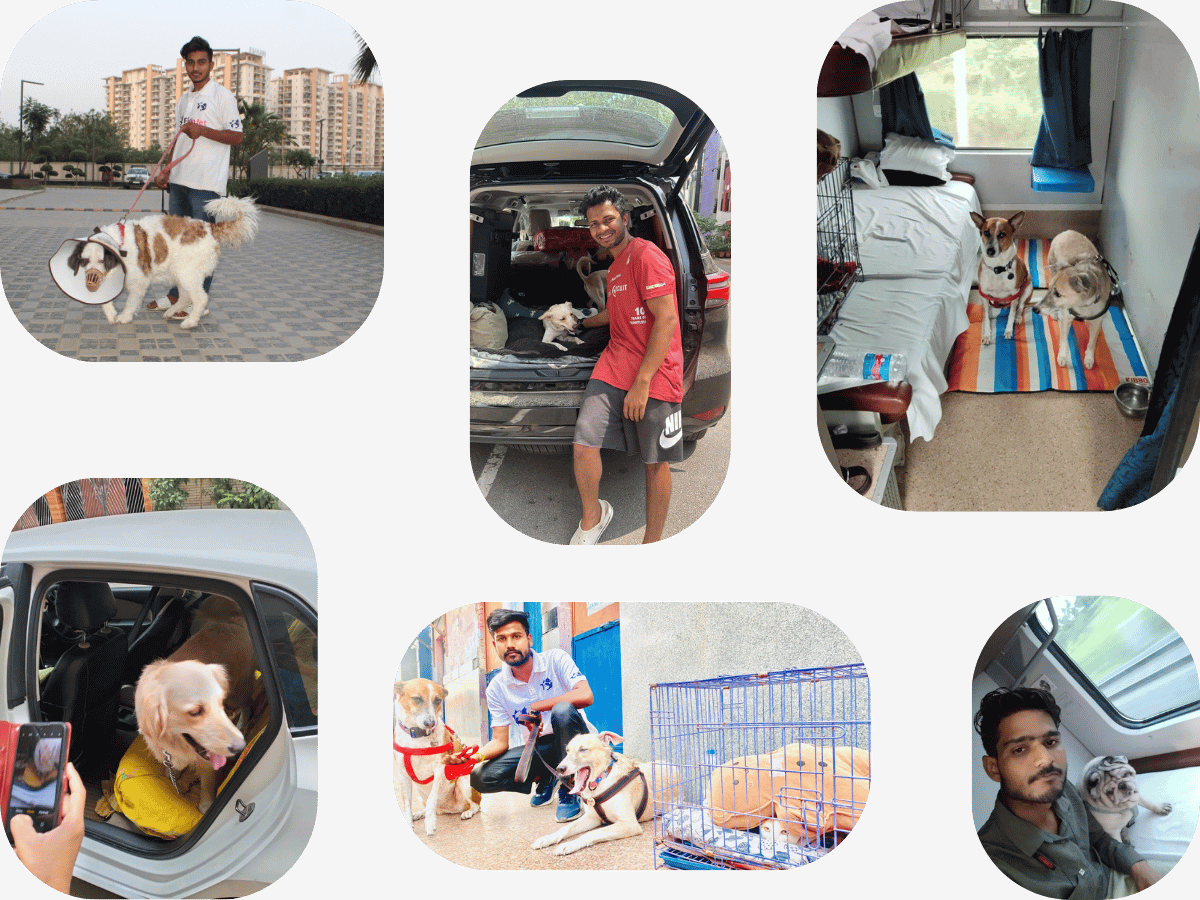 Pet Relocation Services Coimbatore